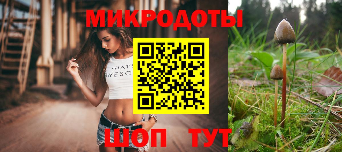 Азнакаево  Псилоцибиновые грибы Magic Shrooms  цена   Вход с VPN 